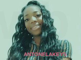 ANTONELAKEYS