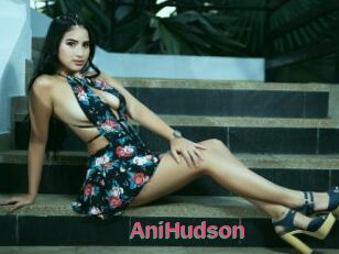 AniHudson