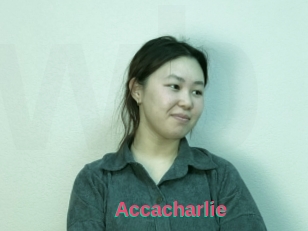 Accacharlie