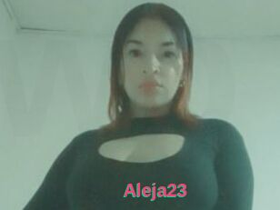 Aleja23