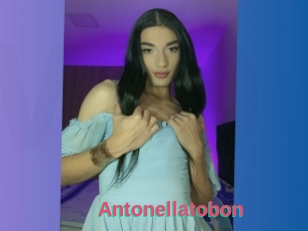 Antonellatobon