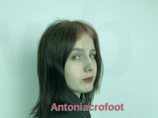 Antoniacrofoot