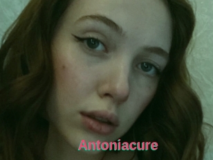 Antoniacure
