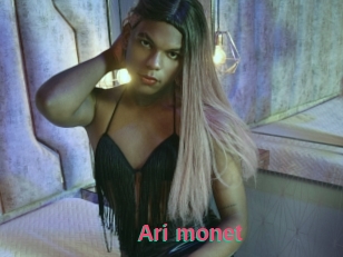 Ari_monet