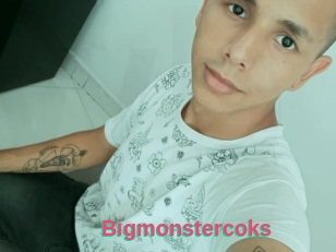 Bigmonstercoks