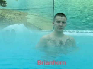 Brianhorn