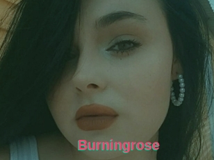 Burningrose