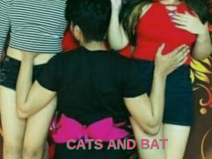 CATS_AND_BAT