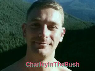 CharleyInTheBush