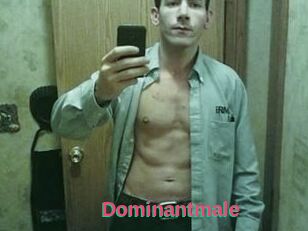 Dominantmale