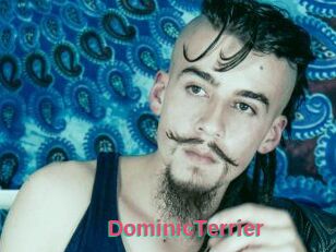 DominicTerrier