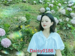 Daisy0188