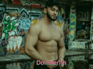 Donmerlin