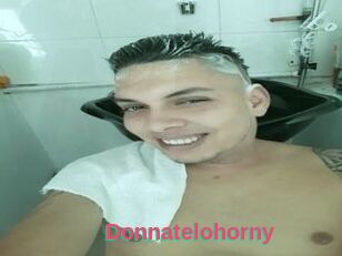 Donnatelohorny