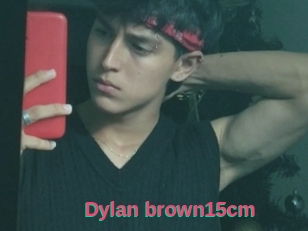 Dylan_brown15cm