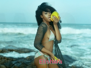 Elishara