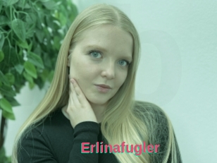 Erlinafugler