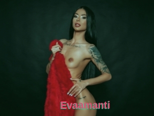 Evaamanti