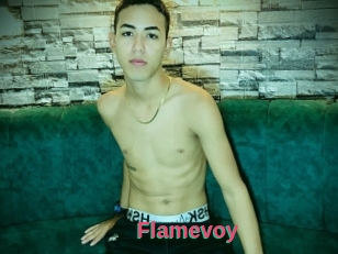 Flamevoy