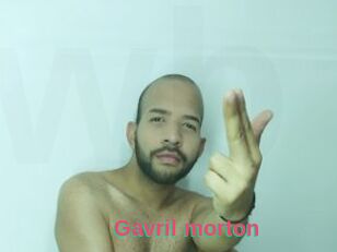 Gavril_morton