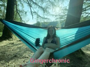 Gingerchronic