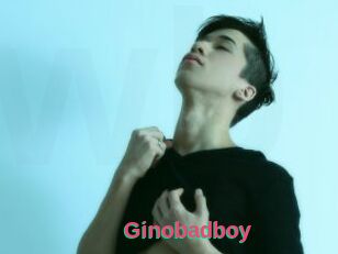 Ginobadboy