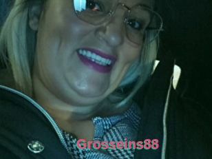 Grosseins88