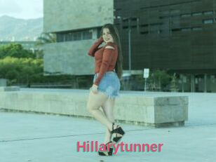 Hillarytunner