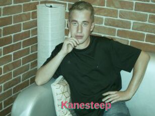 Kanesteep