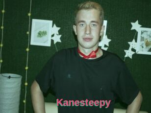 Kanesteepy