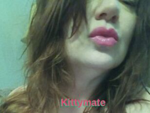 Kittymate