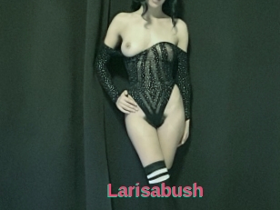 Larisabush