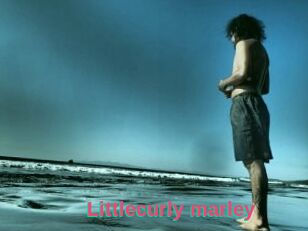 Littlecurly_marley