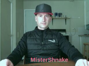 MisterShnake