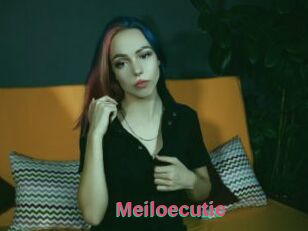 Meiloecutie