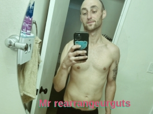 Mr_rearrangeurguts