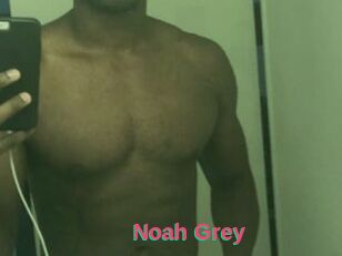 Noah_Grey