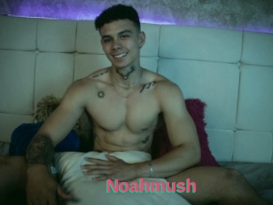 Noahmush