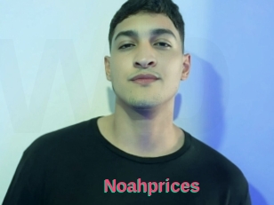 Noahprices