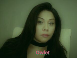 _Owlet_