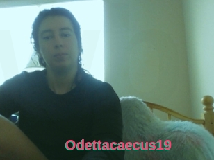 Odettacaecus19