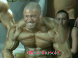 Oigan_muscle