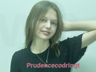 Prudencecodringt