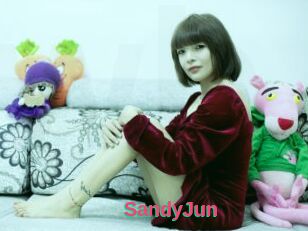 SandyJun