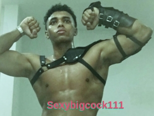 Sexybigcock111