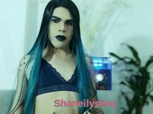 Shaneilysbig