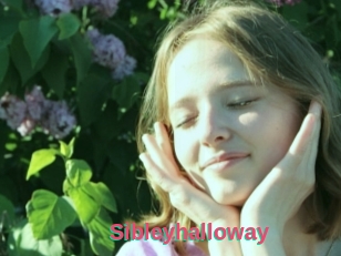 Sibleyhalloway