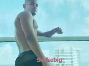 Snakebig