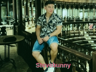 Stevebunny