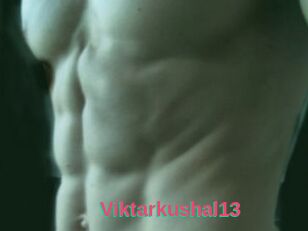 Viktarkushal13